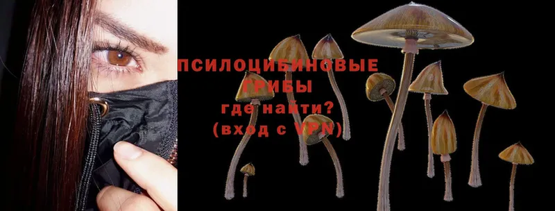 наркошоп  Тихорецк  Галлюциногенные грибы Cubensis 